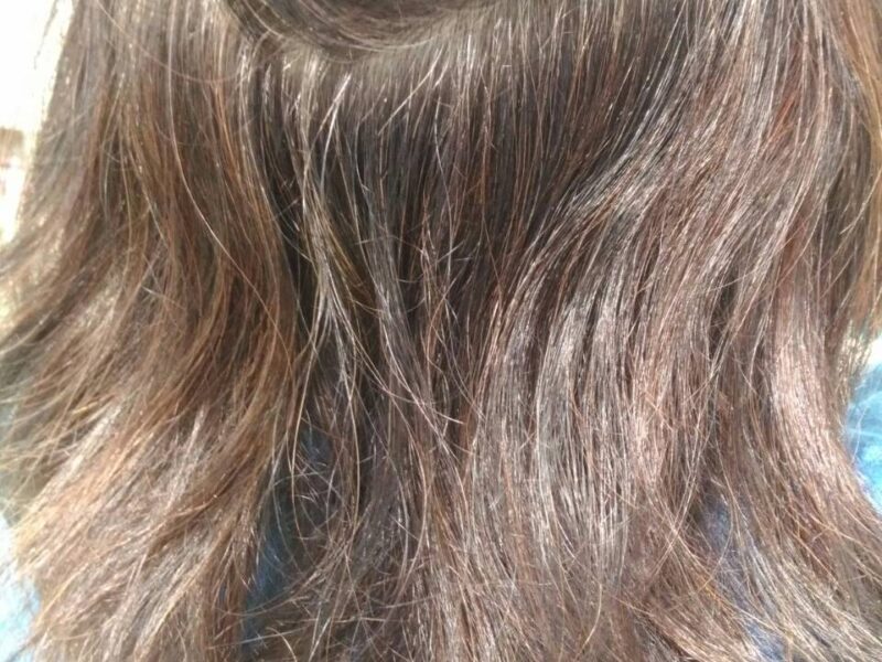 スタッフ勉強会🎵