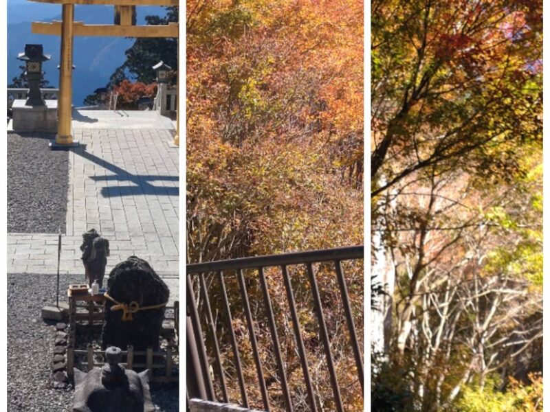 秋葉神社へ行ってきました。