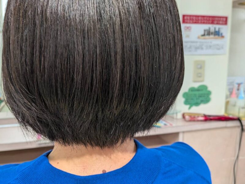 ５回目のリセッターカット＆デザインカット