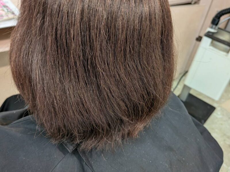 本日のリセッターカット