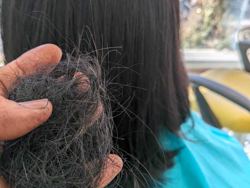 本日のリセッターカット