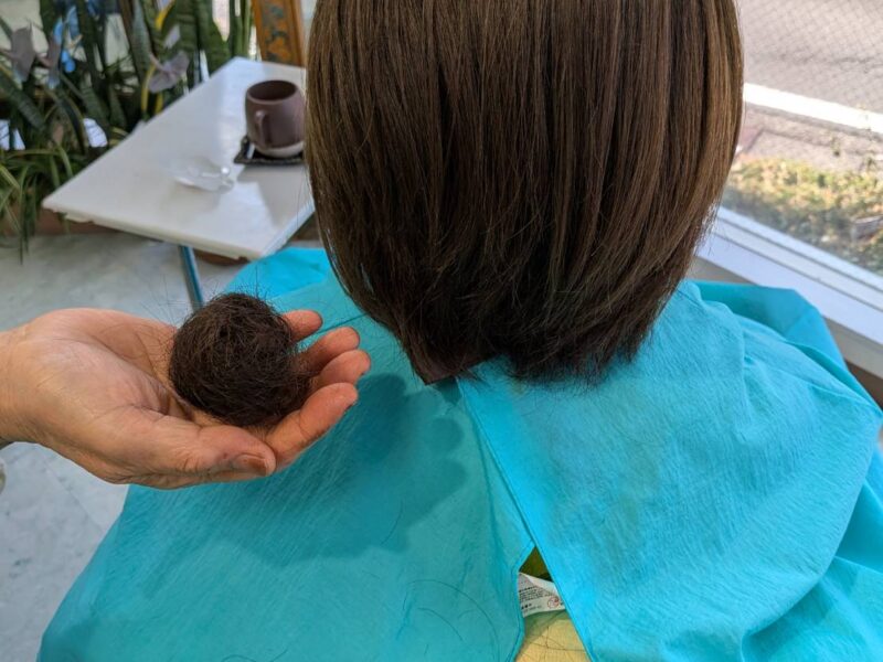 リセッター初体験